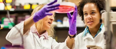 Scientists collaborate on a research project in a laboratory, examining a cell culture plate, demonstrating hands-on work in nutrition and health sciences.