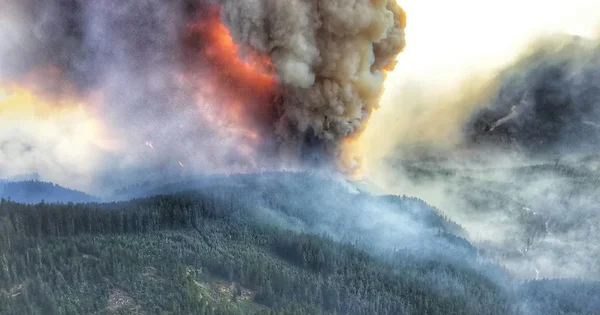 Large wildfire burning through a forested mountain landscape, with massive smoke plumes and flames visible against the trees.