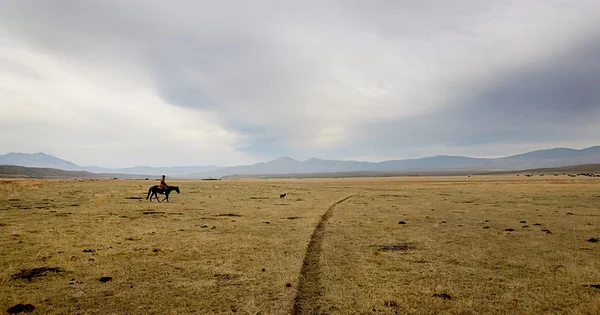 A lone rider on horseback traversing a vast, open grassland with distant mountain ranges under an overcast sky.