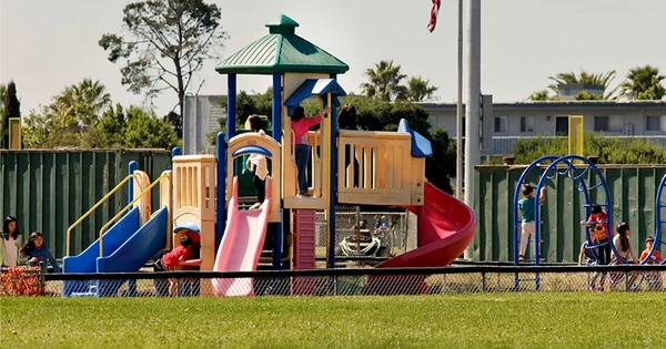 Colorful playground with multiple slides and play structures, with palm trees and buildings in the background.