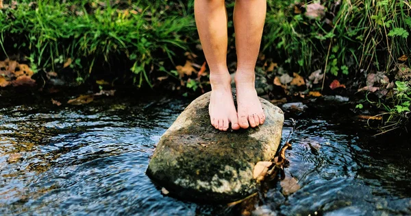 Bare feet standing on a rock in a small stream surrounded by grass and fallen leaves.