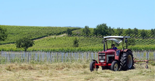 Red tractor driving in field
