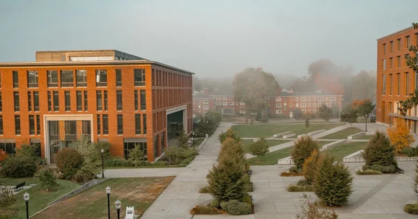 Austin Hall and LINC in the fall fog.