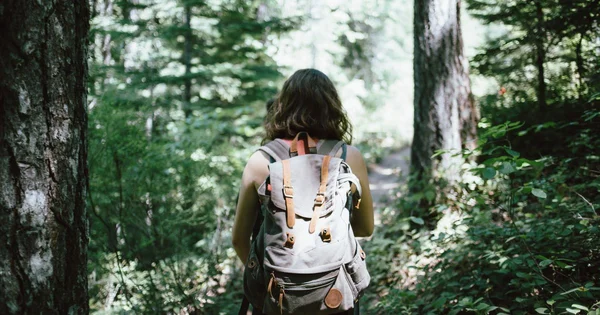 A hiker with a backpack walking on a forest trail, viewed from behind, surrounded by trees and greenery.