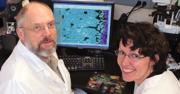 Russ Turner and Urszula Iwaniec in the Skeletal Biology Laboratory