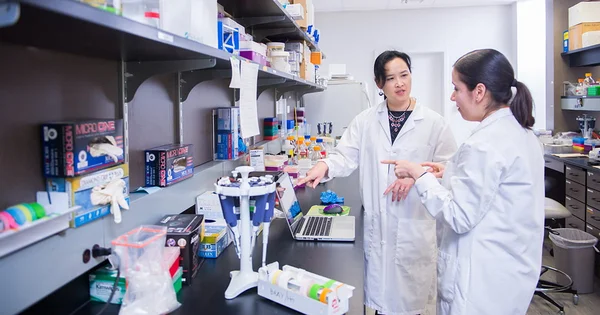 Researchers collaborate in a molecular and cellular nutrition laboratory, examining samples or discussing experimental procedures.