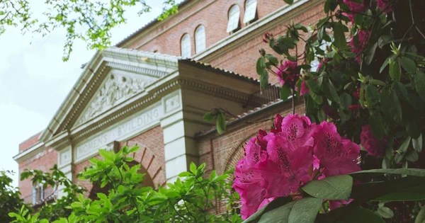The ornate entrance of the historic brick Women's Building, with the words "WOMEN'S BUILDING" visible on the facade, seen through green leaves and blooming pink flowers.