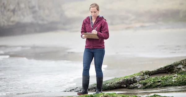 A student conducting field research and data collection on a misty beach, illustrating hands-on environmental study.