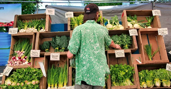 A person purchasing vegetables at a farmer's market, representing local food systems and practical nutrition.
