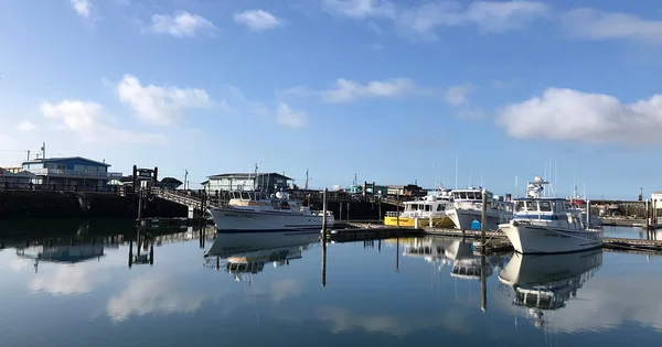 A tranquil morning at a marina with white boats reflected in the still water. A wooden pier and coastal buildings are visible in the background.