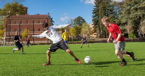 Sports Injury Prevention Research Group