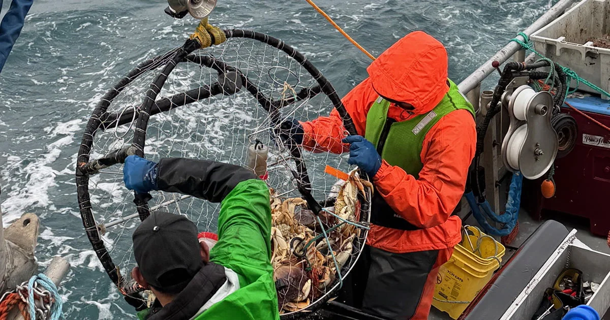 Crab fishermen in colorful protective gear sorting catch in a fishing net on a boat deck with choppy water.