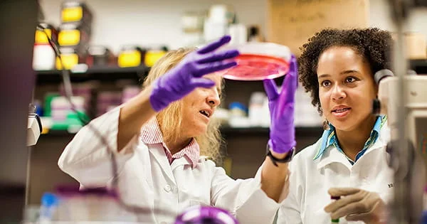 Scientists collaborate on a research project in a laboratory, examining a cell culture plate, demonstrating hands-on work in nutrition and health sciences.