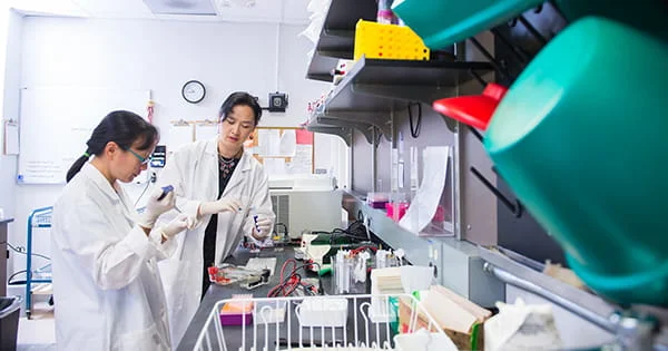 Two researchers in a lab conducting an experiment, representing the scientific research component of a nutrition program.