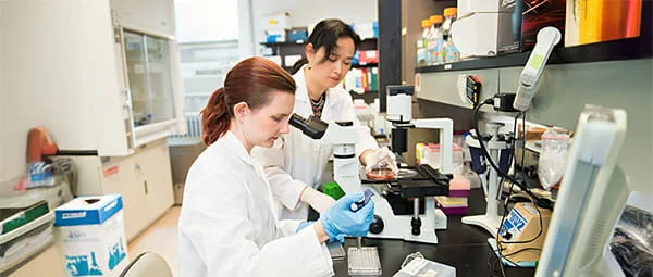 Two researchers collaborating on an experiment, representing advanced scientific study and research.