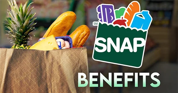 Graphic illustrating food assistance, showing a paper grocery bag full of fresh food and staple items next to the official SNAP Benefits logo.