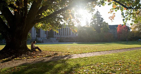 A student studying on a university quad, symbolizing the academic environment and the peace of mind provided by financial aid resources.