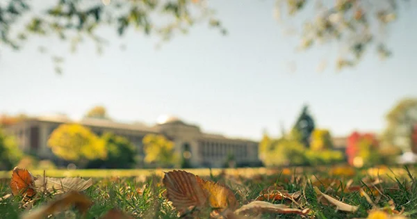 A soft-focus autumn scene on the Oregon State University campus, symbolizing the seasonal academic cycle and the various scholarship opportunities available through ScholarDollars.