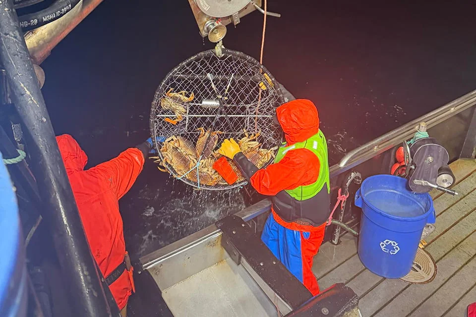 Fishermen in red jackets hoist a metal crab pot filled with Dungeness crabs from dark ocean water onto a boat at night.