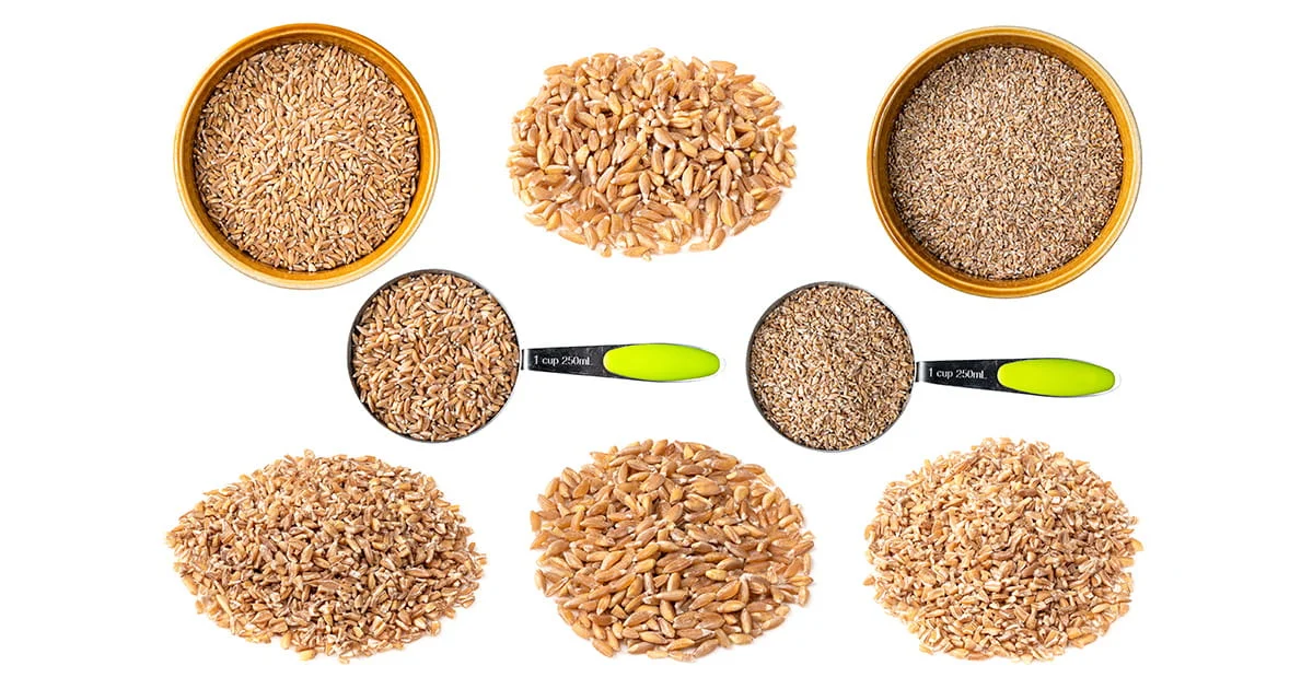Overhead flat-lay of various forms of whole and milled wheat or farro grain, displayed in bowls, in measuring cups, and in small piles on a white background, for comparative analysis.
