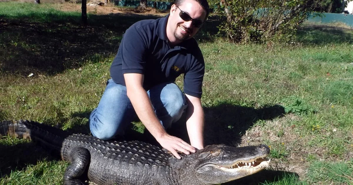 A smiling man in a navy polo shirt and sunglasses kneels on a grassy field, resting his hand on the back of a large alligator.