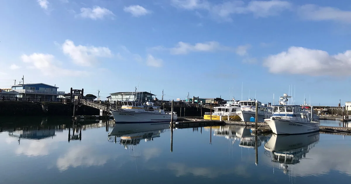 A tranquil morning at a marina with white boats reflected in the still water. A wooden pier and coastal buildings are visible in the background.
